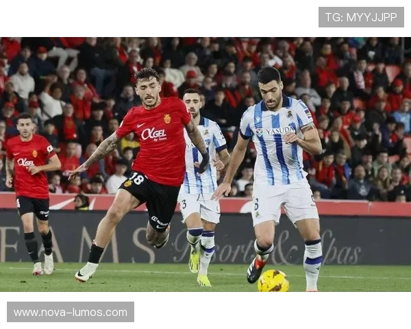 格拉纳达球队结构解析：当前赛季阵容框架与战术体系分析